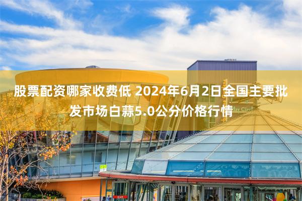 股票配资哪家收费低 2024年6月2日全国主要批发市场白蒜5.0公分价格行情